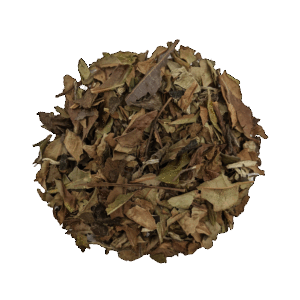 Pai Mu Tan