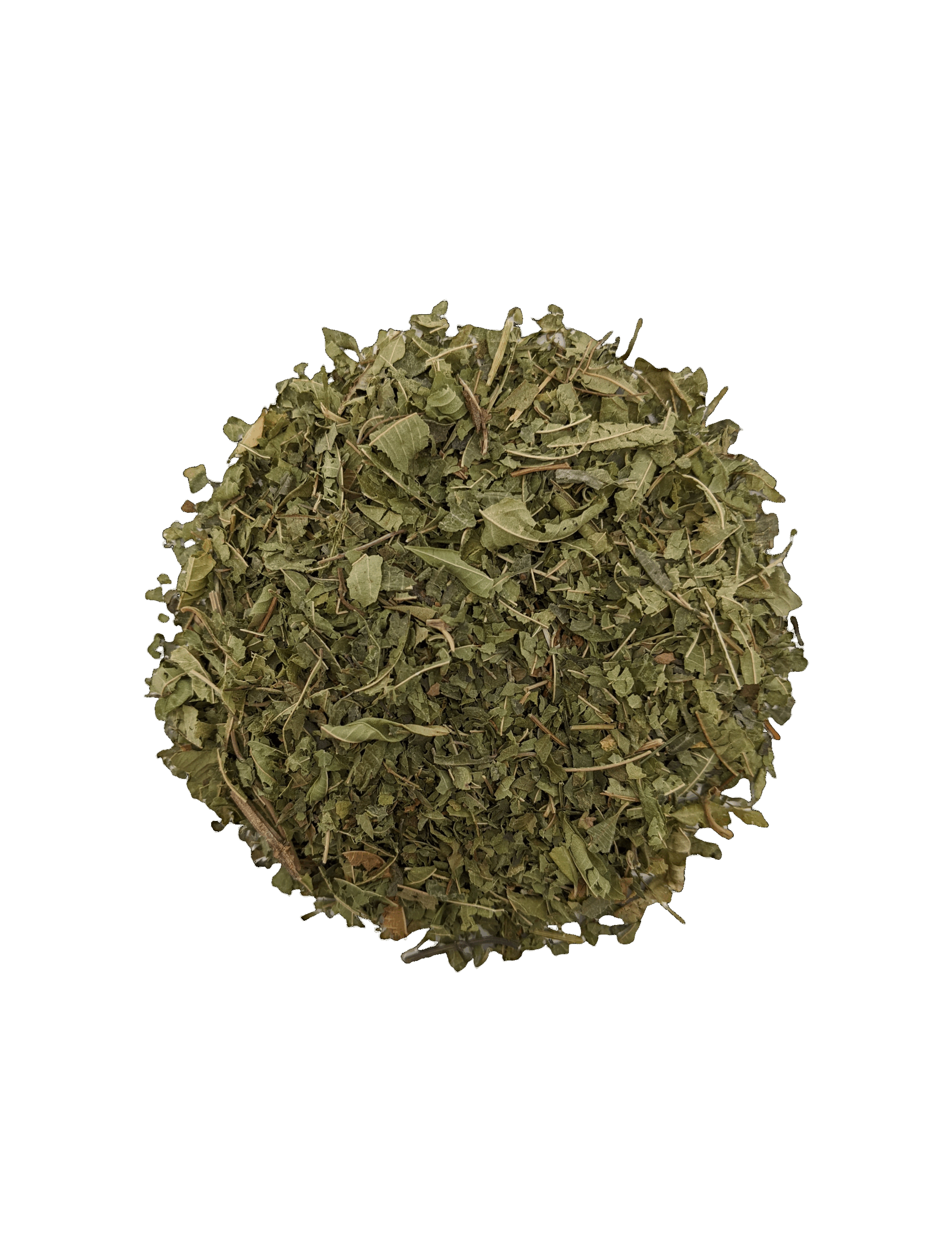 1-VR-Verveine-2
